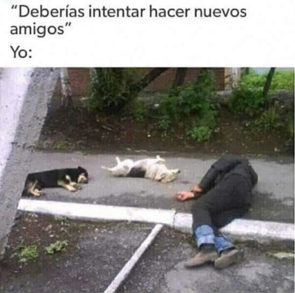 Otros - Yo intentando hacer amigos
