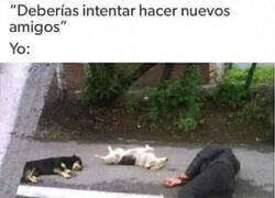 Enlace a Yo intentando hacer amigos