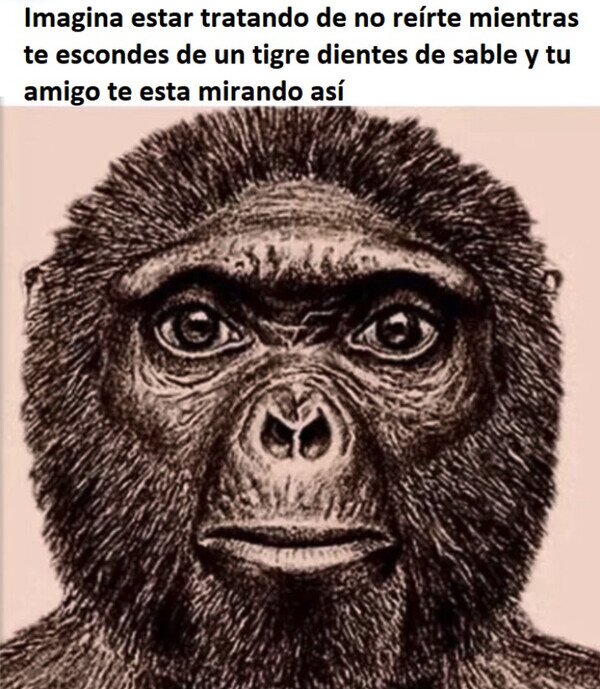 cara,re&iacute;r,tigre,tiempo