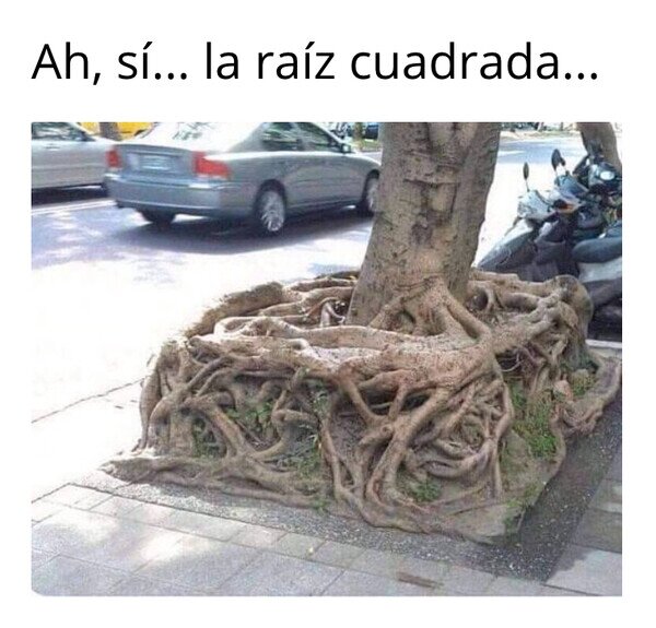 Otros - Por fin la hallé