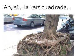 Enlace a Por fin la hallé