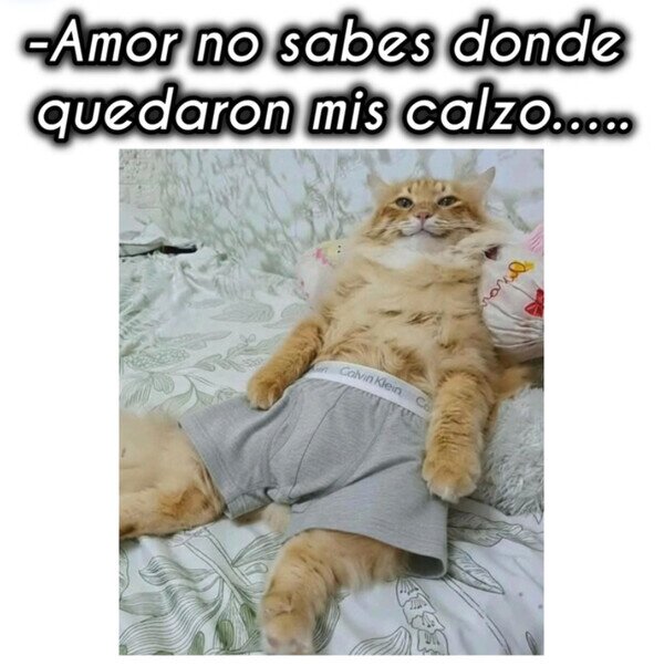 Otros - A él le quedan mejor