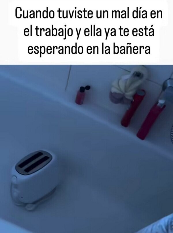 Meme_otros - Tostadora tentadora