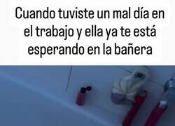 Enlace a Tostadora tentadora