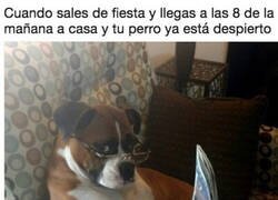 Enlace a Ya puedes tener una buena excusa