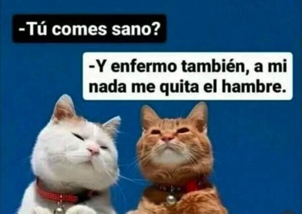 comer,sano,enfermo,hambre
