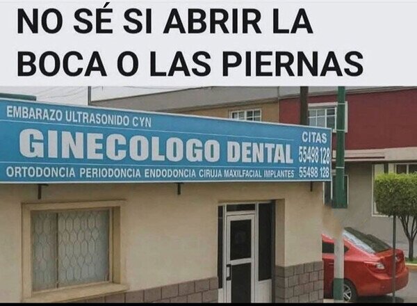 ginec&oacute;logo,dental,wtf