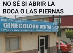 Enlace a Experto en varias áreas