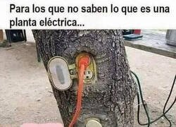 Enlace a Ahí la tienen