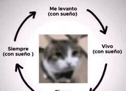 Enlace a Mi día a día