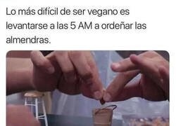 Enlace a Ser vegano no es fácil