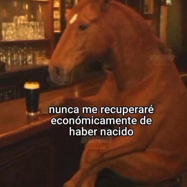 Otros - Desde ese momento no avanzo