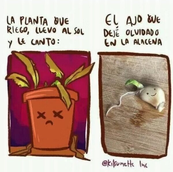 Meme_otros - Nada puede con el ajo