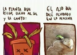 Enlace a Nada puede con el ajo