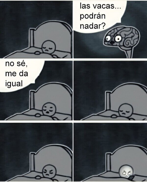 Meme_otros - La curiosidad le pudo