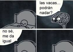 Enlace a La curiosidad le pudo