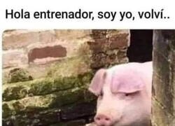 Enlace a Yo volviendo al gimnasio después de las fiestas