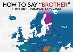 Enlace a ¿Cómo dicen 'hermano' por Europa?