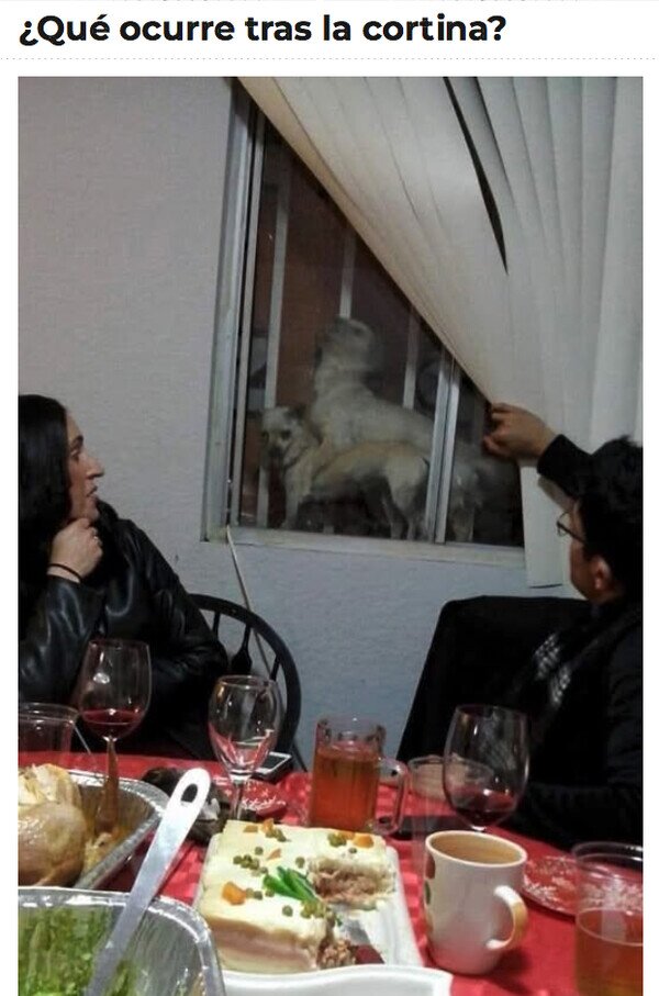 Meme_otros - ¡Sorpresa!