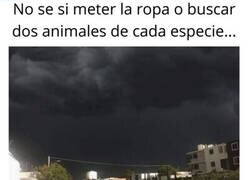 Enlace a Se viene diluvio histórico