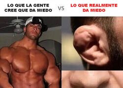 Enlace a Verdaderos signos de peligro