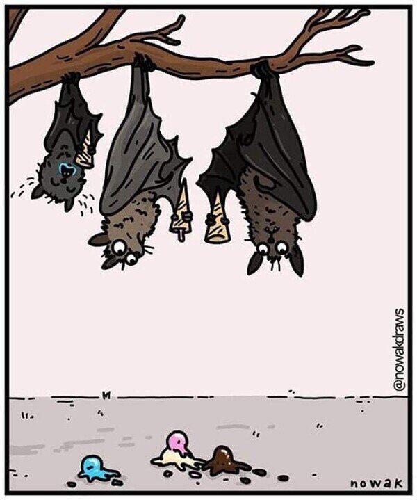 Meme_otros - Los helados no son para los murciélagos