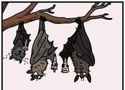 Enlace a Los helados no son para los murciélagos