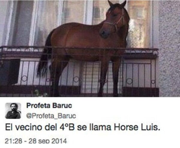 Otros - Mi vecino Horse