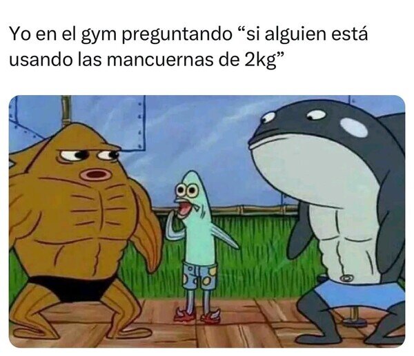 Meme_otros - El humilde del gimnasio