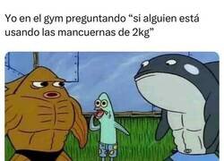 Enlace a El humilde del gimnasio