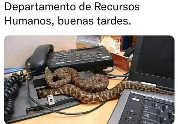 Meme_otros - Recursos muy poco humanos