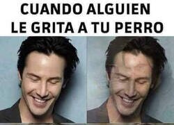 Enlace a Solo yo le grito a mi perro