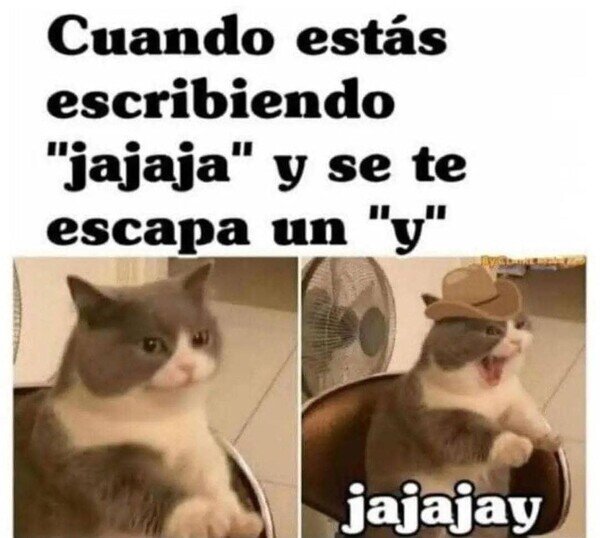Meme_otros - ¡Jajay!