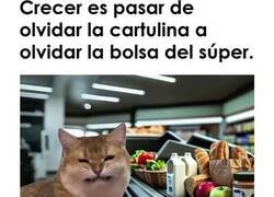 Enlace a La verdadera definición de crecer