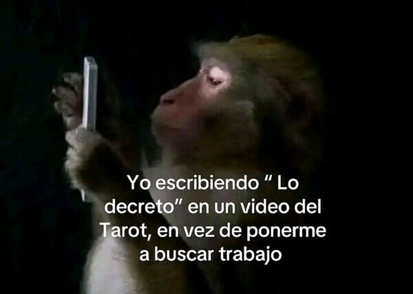 Meme_otros - Lo decreto
