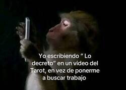 Enlace a Lo decreto
