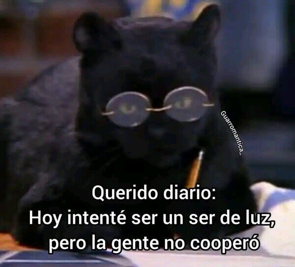 Meme_otros - Querido diario...