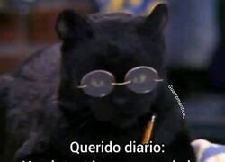 Enlace a Querido diario...