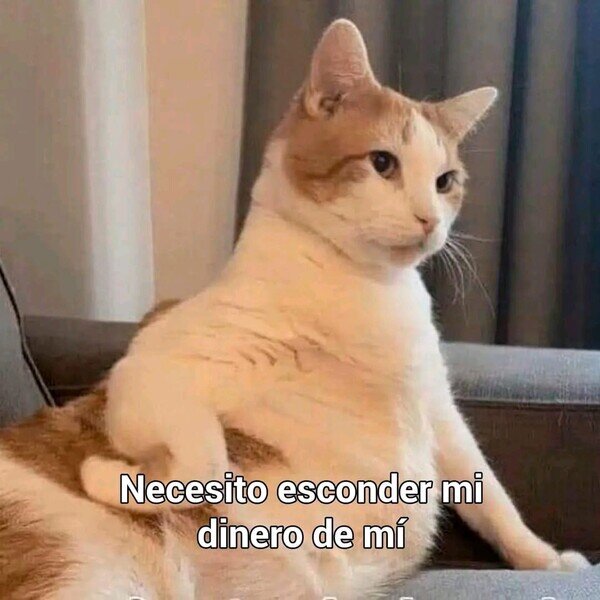 Meme_otros - Necesito esconder mi dinero de mi
