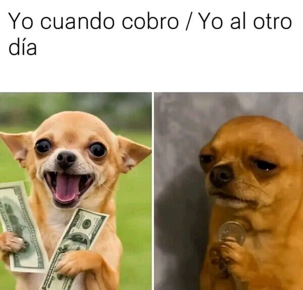 Meme_otros - Lo que difícil se viene, fácil se va