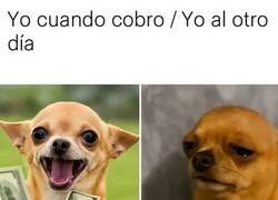 Enlace a Lo que difícil se viene, fácil se va