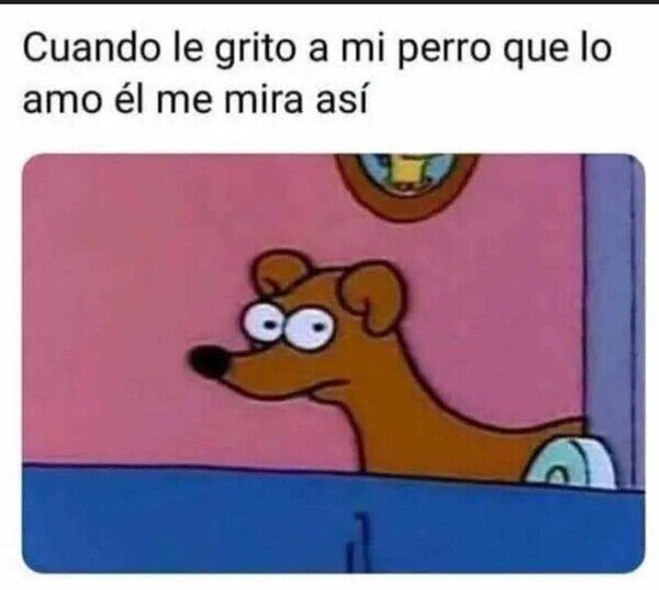Meme_otros - Mi perro piensa que estoy loco