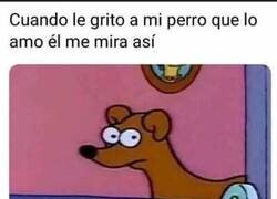 Enlace a Mi perro piensa que estoy loco