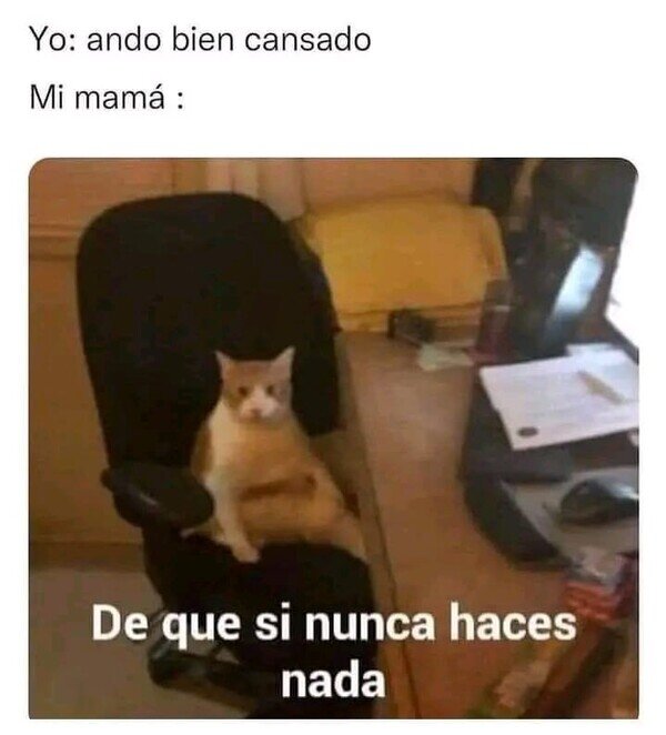Meme_otros - Ando bien cansado