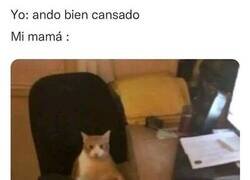 Enlace a Ando bien cansado