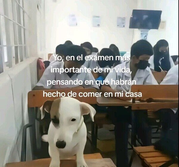 Meme_otros - No me concentro ni para eso