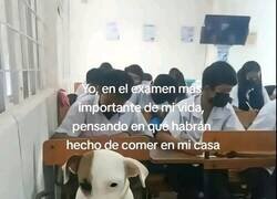 Enlace a No me concentro ni para eso