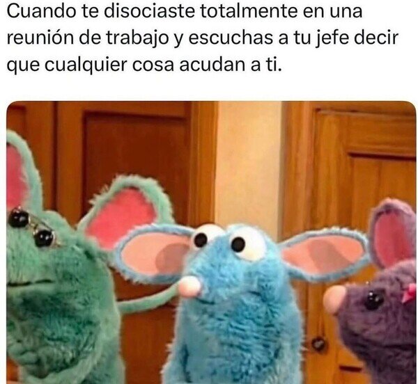 Meme_otros - Ahora si ya valí