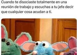 Enlace a Ahora si ya valí