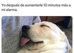 Enlace a Seguro me sentiré mas descansado